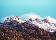 世界赛直播-T1分享队员沙特旅游短片：当世界冠军来到红海